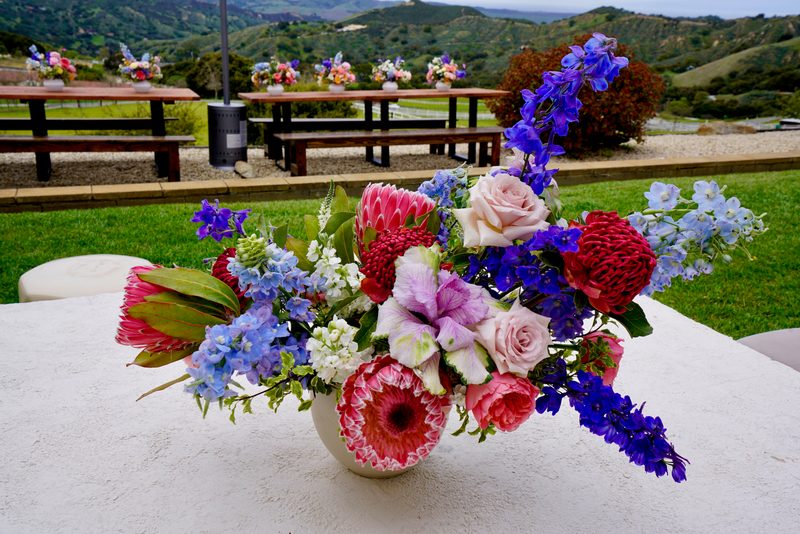 Delphinium and garden roses