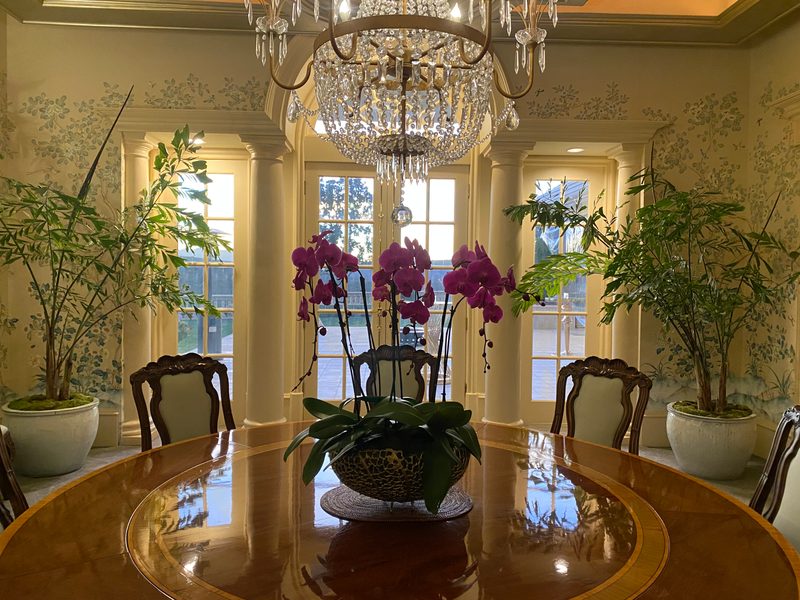 Orchids for a dining room