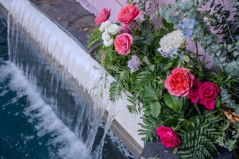 Garden roses at the waterfall edge