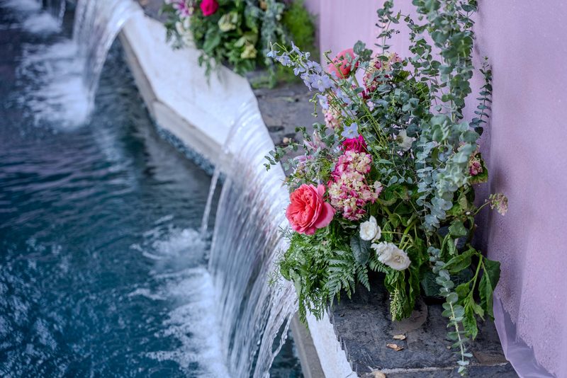 Roses along the waterfall edge
