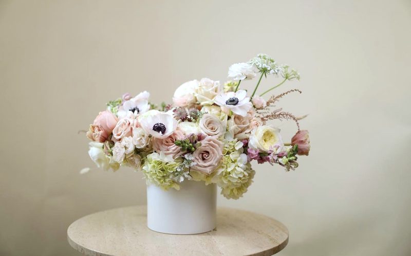 Blush and white, studio