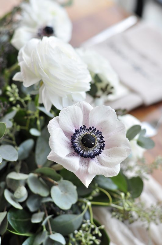 Anemone detail
