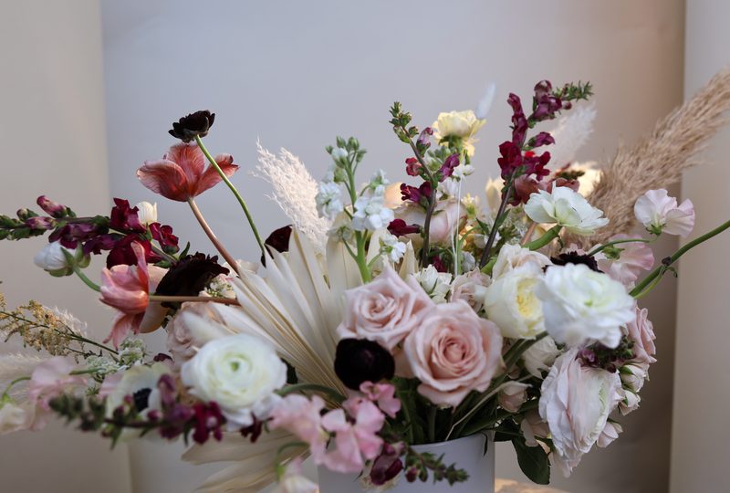 Ranunculus, pampas, dark anemone