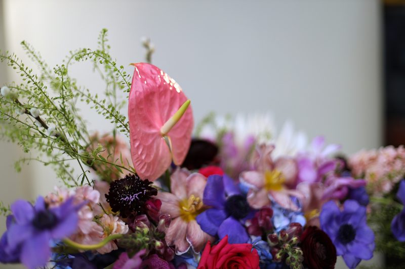 Anthurium and anemone detail