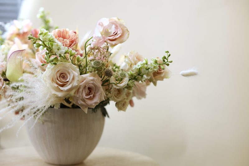 Roses, close