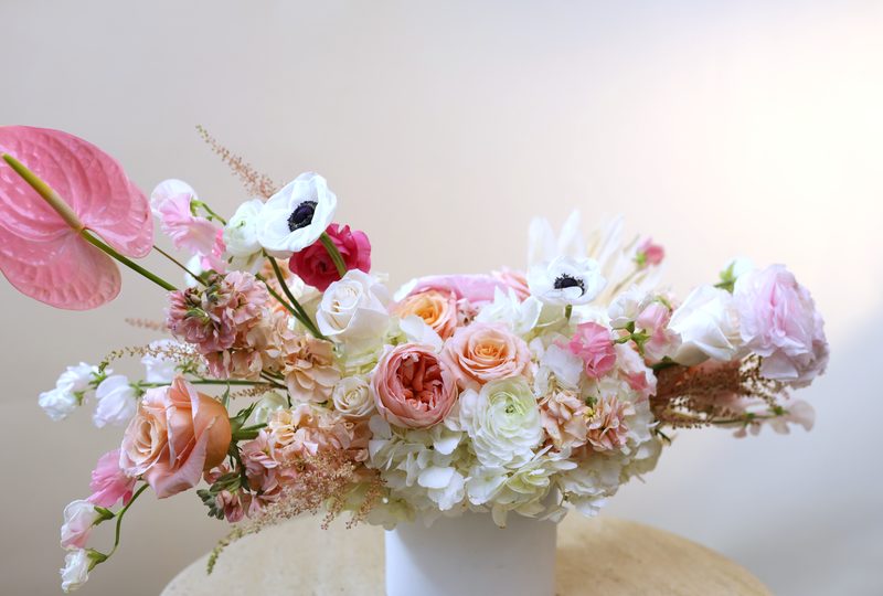 Pink anthurium pot